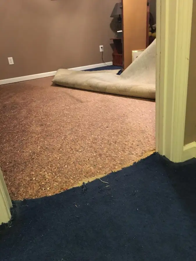 Carpet pad removal revealing water damage during Drying & Dehumidification in Hollis